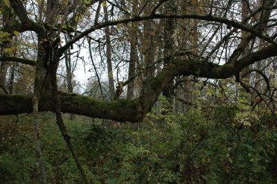 DSC_5939_resize.JPG
