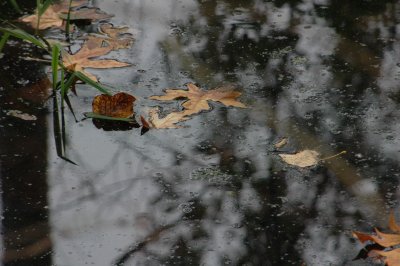 DSC_5943_resize.JPG