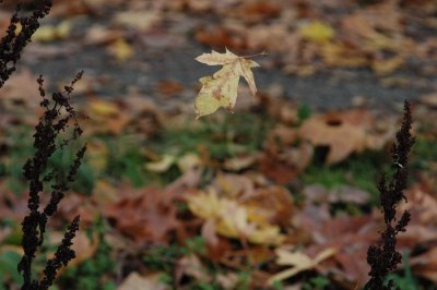DSC_5947_resize.JPG