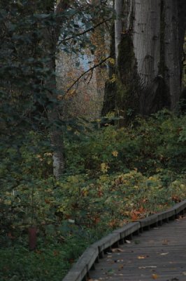 DSC_5969_resize.JPG