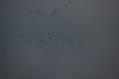 DSC_5987_resize.JPG