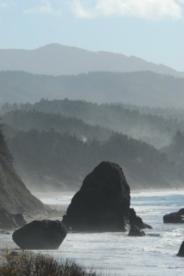 foggy_morning_on_the_oregon_coast
