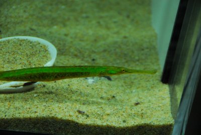 DSC_9886_resize.JPG