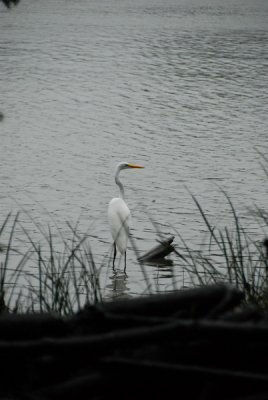 DSC_9890_resize.JPG