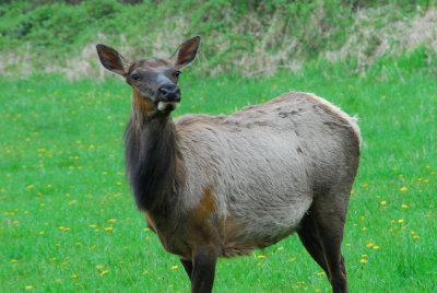 DSC_1654_resize.JPG