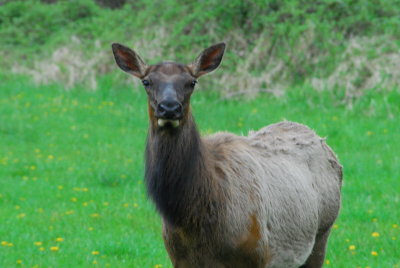 DSC_1660_resize.JPG
