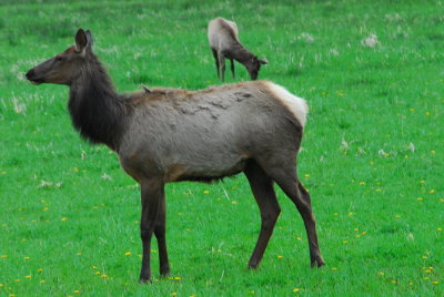 DSC_1664_resize.JPG