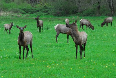 DSC_1666_resize.JPG