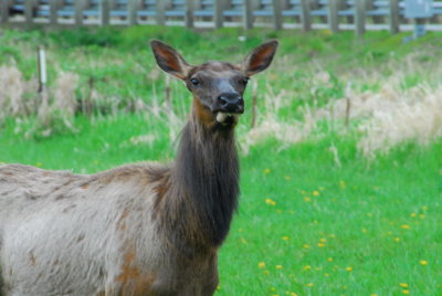 DSC_1669_resize.JPG