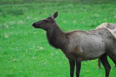DSC_1680_resize.JPG