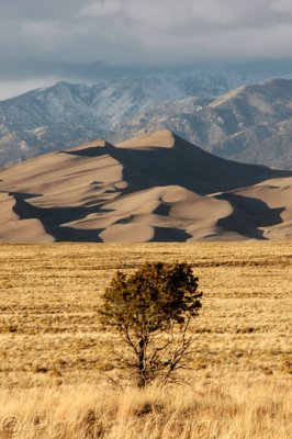 Great Sand Dunes National Park 2-CO