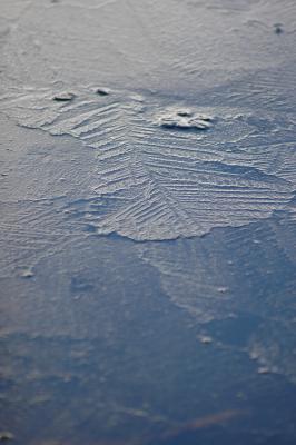 Ice Crystals