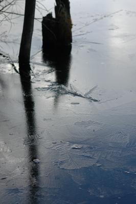Ice and Shadows