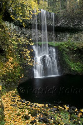 Lower S. Silver Falls-OR