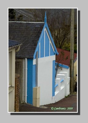 The blue house