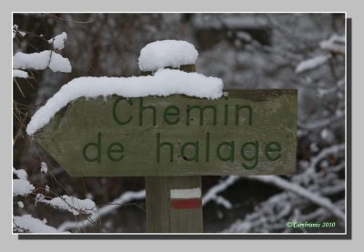 Halage