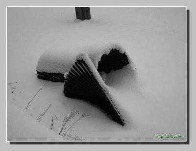 Sculpture on the snow