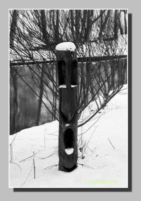 Totem