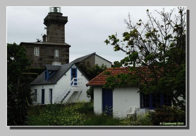 Blottie au pied du phare