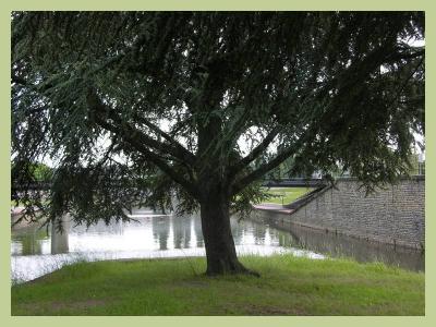 g3/74/613374/3/53852085.StLLaVire11.jpg