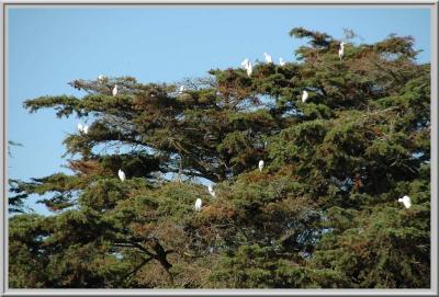 ::Ballade dans le golfe::