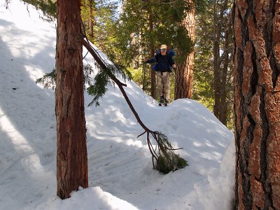 South Fork Trail