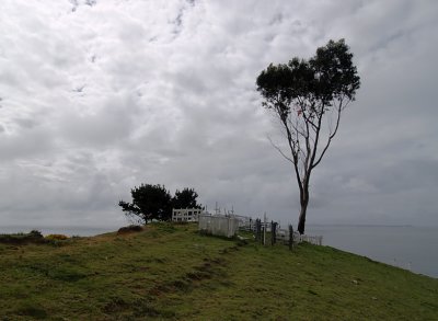 Punta Lavapie