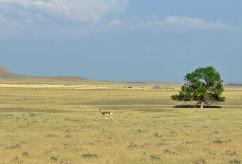 South Dakota 251.jpg