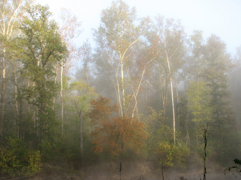 Morning at Pulltite.jpg