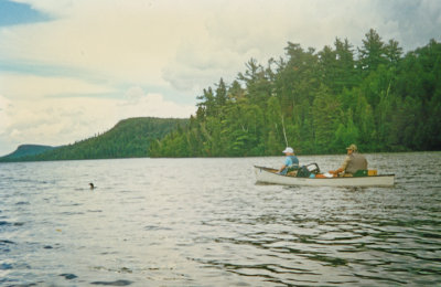 Chasing Loons on Rose.jpg