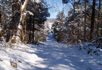 snowy countryside 004.jpg