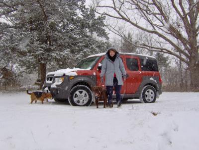 Margaret E Dogs in snow.jpg