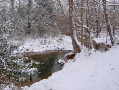 Creek in Snow.jpg