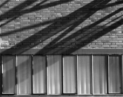 zollverein-schatten3.jpg