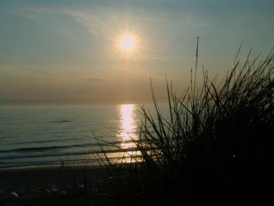 g3/74/638474/3/58317411.DSC00423sm.jpg