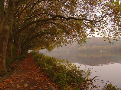 autumn baldeneysee.jpg