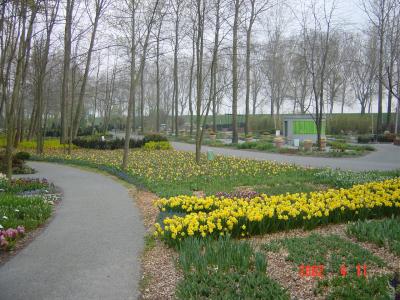 DSC00044.JPG