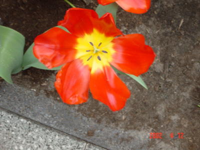 DSC00243.JPG