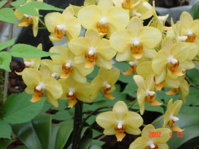 DSC00280.JPG