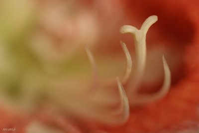 _MG_6131.jpg