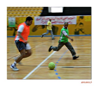 IMG_4501.jpg
