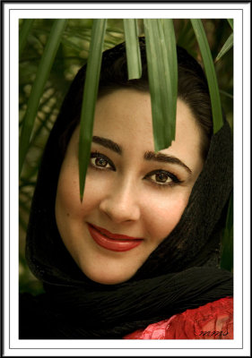 _MG_4210F copy.jpg