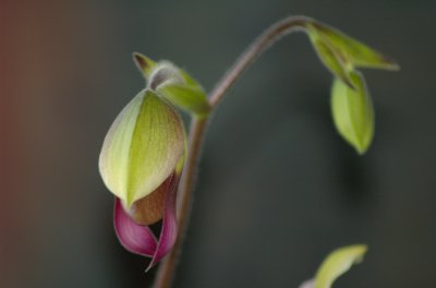 DSC_0043.jpg