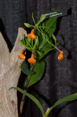 DSC_0314.jpg