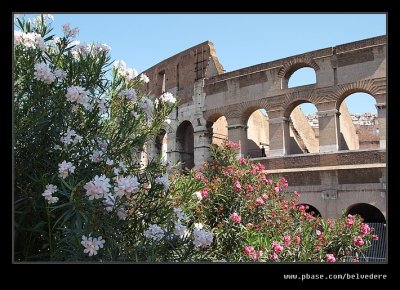 Colosseum #1, Rome