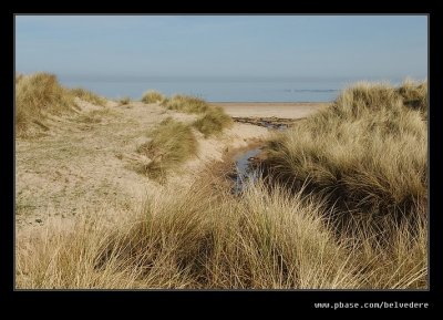 Cresswell Dunes #2, Northumberland