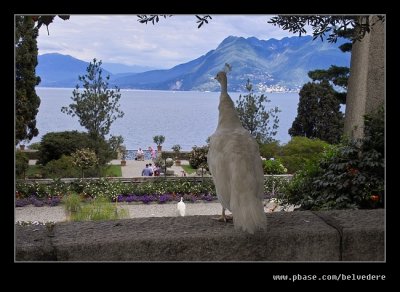Peacock Vista, Isola Bella, Lake Maggiore