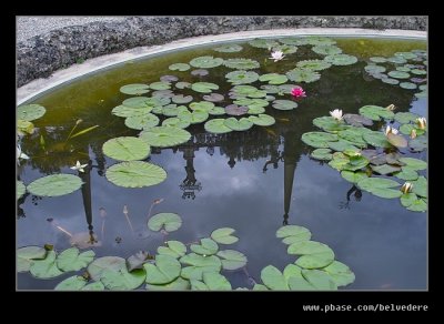 Garden of Love Reflections, Isola Bella, Lake Maggiore