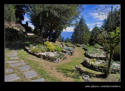 Alpine Gardens #23, Mt Mottarone, Lake Maggiore