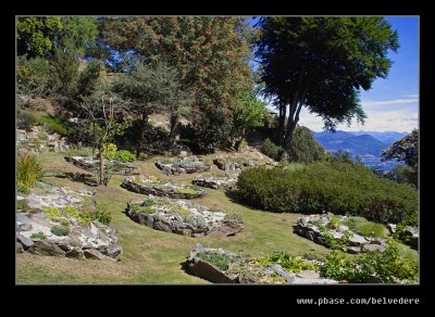 Alpine Gardens #25, Mt Mottarone, Lake Maggiore